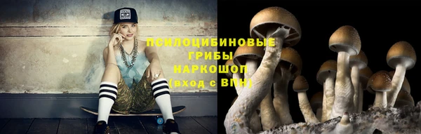 прущие крисы Гусь-Хрустальный