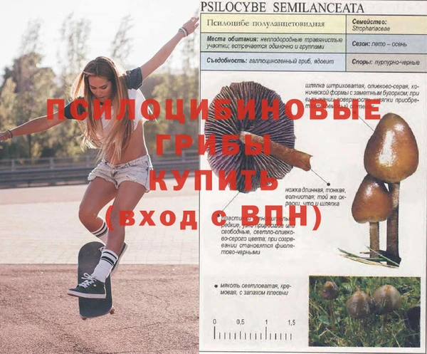 МДМА Гусиноозёрск