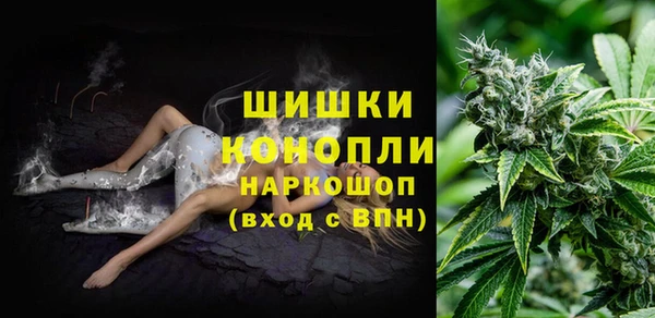 мет Гусев