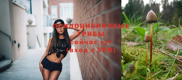 мет Гусев