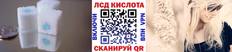 ЛСД экстази ecstasy  Купить где  Зубцов 