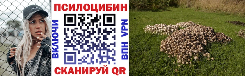 Псилоцибиновые грибы MAGIC MUSHROOMS  Купить  Зубцов 